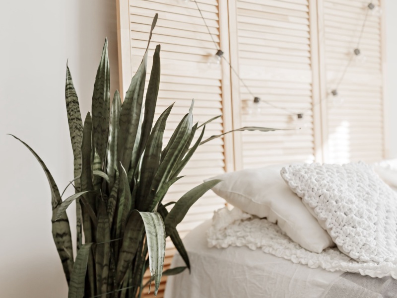 How to Improve Your Indoor Air Quality